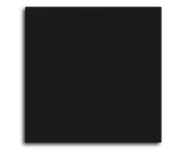 MDT Bascule MDT pour bouton-poussoir Light 55 Basic, 1 p. KNX, noir mat