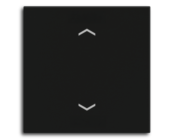 MDT Bascule MDT pour bouton-poussoir Light 55 Basic, 1 p. KNX, noir mat, store