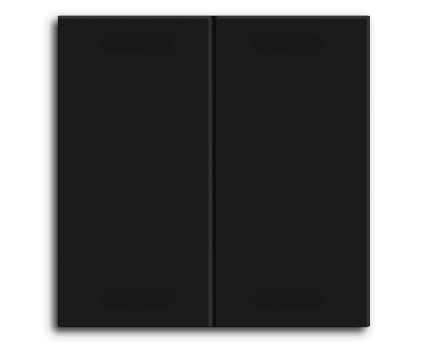 MDT Bascule MDT pour bouton-poussoir Light 55 Basic, 2p KNX, noir mat