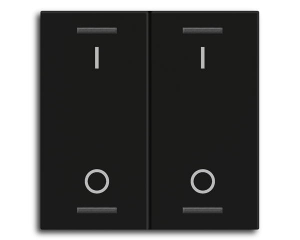 MDT Bascule MDT pour bouton-poussoir Light 55, 2 paires KNX, noir mat, commutation.